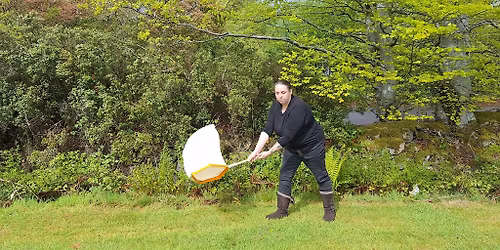Greyhope Morning: Aberdeen Insect Week \u2013 learn to survey for invertebrates