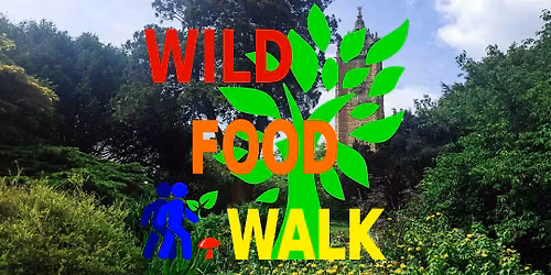 September Brandon Hill Park (Bristol) Wild Food Foraging\/ Foragers Walk.