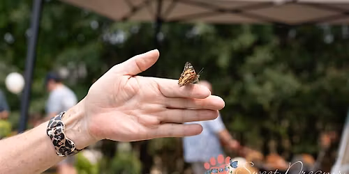 Grand Opening Pawprints & Butterflies Festival
