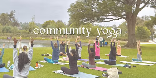 community yoga in the park