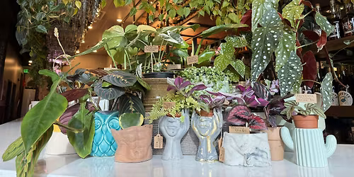 Plant Bingo