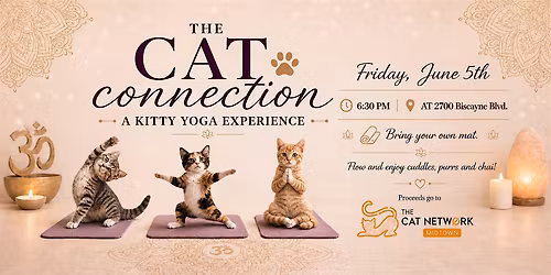 Yoga with Cats: The Cat Connection