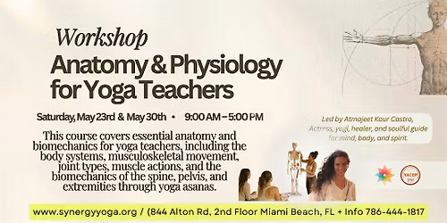 Anatomy & Physiology for Yoga Teachers!