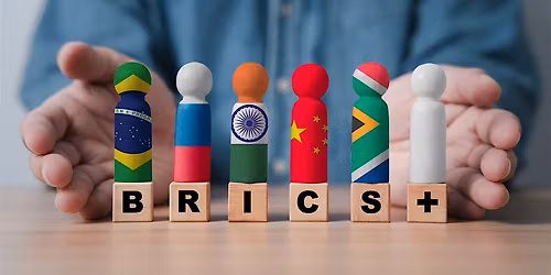 BRICS+ After the Expansion