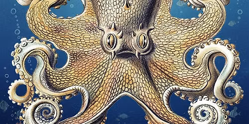 The Evolution of Complex Behavior on this Planet and Others