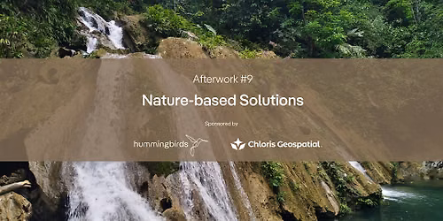 Afterwork #9 Nature-based Solutions