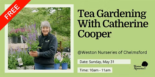 Tea Gardens With Catherine Cooper At Weston Nurseries of Chelmsford