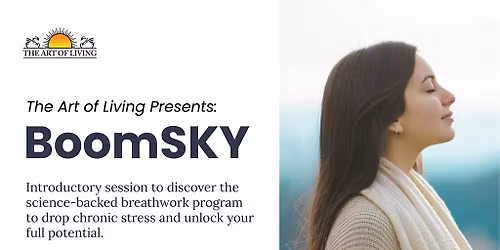 Intro to BoomSKY \u2013 An Unforgettable Experience