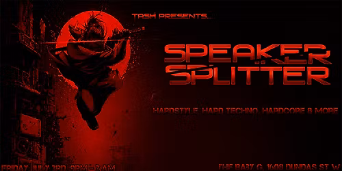 Speaker Splitter: A Hardcore Rave