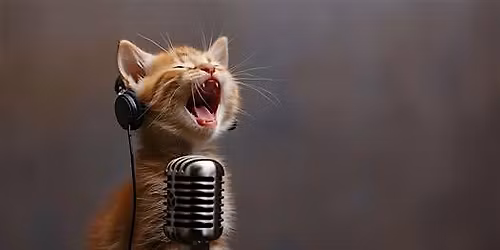Open Mic Night @ Persnickety Books