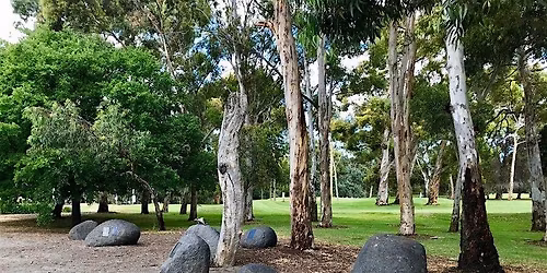 Karrawirra Parri Cultural Tour