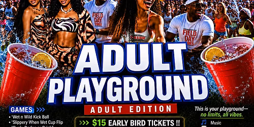 Adult Playground Field Day