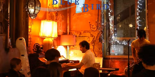 BlueBird Concerts: Multi-Genre Music on Governors Island