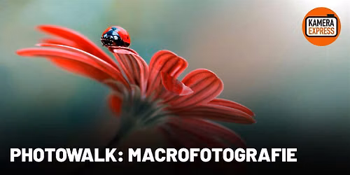 Photowalk Macrofotografie \u2013 Ontdek de verborgen details van Rotterdam!