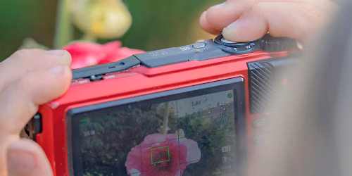 Children's Summer Photography Workshop