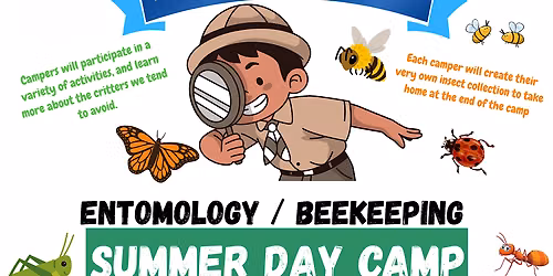 2026 Bugs Don't Bug Me, Day Summer Camp