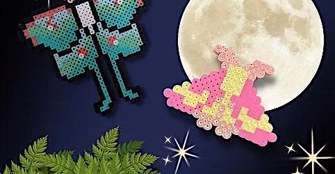 Under the Stars: Crafting Nocturnal Creatures (Talk & Bead craft| Ages 12+)