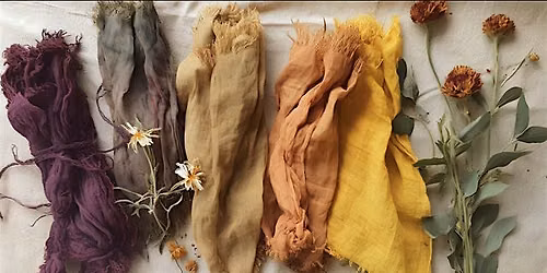 From Bush to Brew: Foraging + Natural Dye Workshop