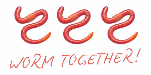 Worm Together! Worm music in the Black Box
