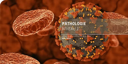 Pathologie niveau 1
