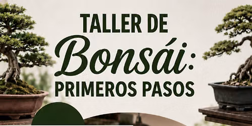 Taller de Bonsai - Primeros Pasos
