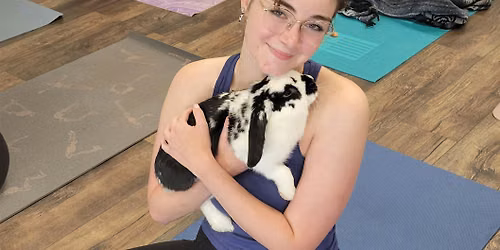 Bunny Yoga