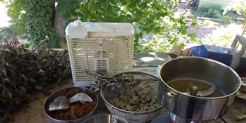 Making Moxa: Transforming Mugwort into Herbal First Aid