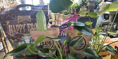 Houseplant Repotting Workshop