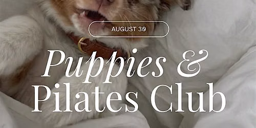 Puppies & Pilates