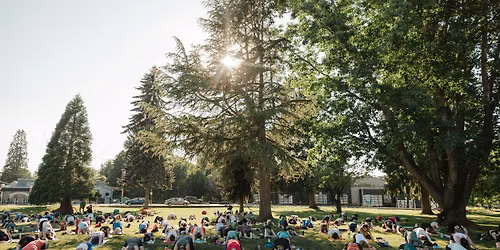 Yoga in the Park