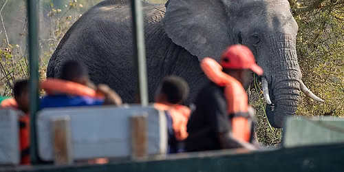 Lessons in Conservation