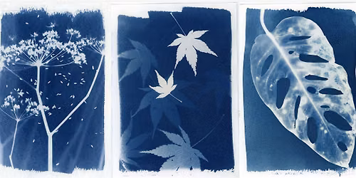 Analog Week | Cyanotype Workshop with The Forest Blues