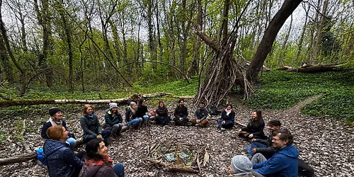 The Forest as a Mentor