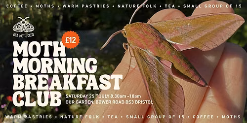 Moth Morning Breakfast Club