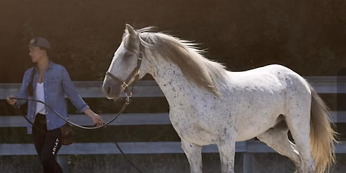 An Evening with Equi-Sense at Wild Oak Saddle Club