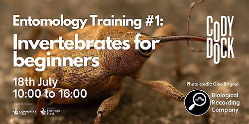 Entomology Training #1: Invertebrates for beginners