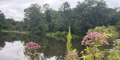July Nature Walk with FOPOS \/\/ Monday, July 13th