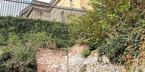 Garden Pilates & Brunch