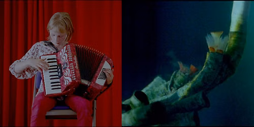 Baltic Cinema: Cladach + The Winds of Fogo