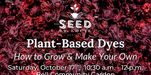 Plant-Based Dyes: How to Grow & Make Your Own