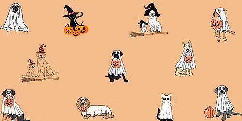 HALLOWEEN PACK WALK