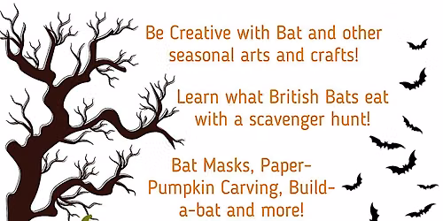 Bat Family Activities in Abbotts Park!