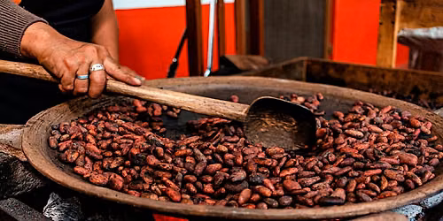 Cacao Counsel - TRADITION - Honoring Ancestral Wisdom