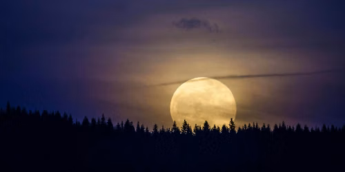 Reflect & Replenish: Guided Meditation for the Full Hunter Moon