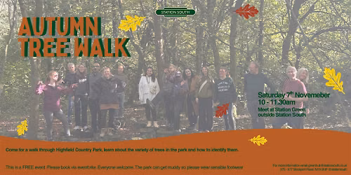 Autumn Tree Walk