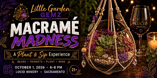 Macram\u00e9 Madness: A Plant & Sip Experience