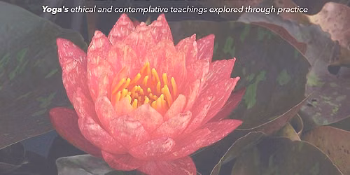 Yamas & Niyamas - Yoga Series Part II