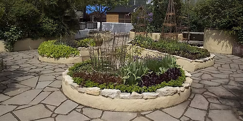 forum+ Visit to Freightliners City Farm