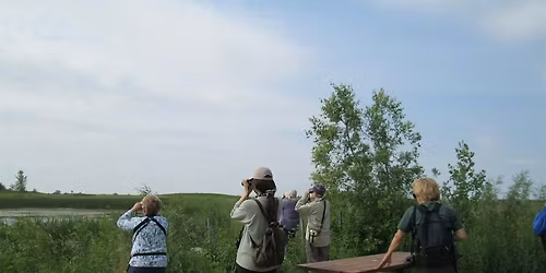 Birding for Beginners - St. Vital Park