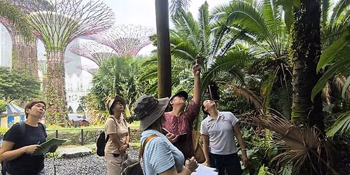 Nature & Sustainability Tour: A Sensory Stroll -Hidden in Plain Sight [May] — Gardens by the Bay, Friends of Gardens Centre